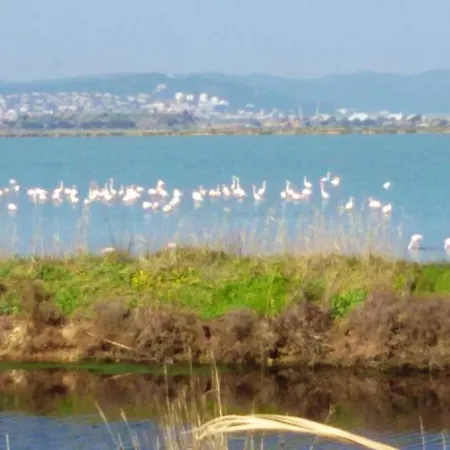 Confortable A Avec Terrasse Et Jardin - 20 M² Hyères