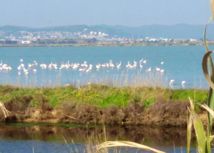 Confortable A Avec Terrasse Et Jardin - 20 M² הייר