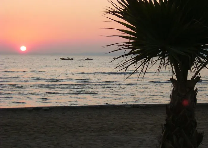 Confortable A Avec Terrasse Et Jardin - 20 M² הייר