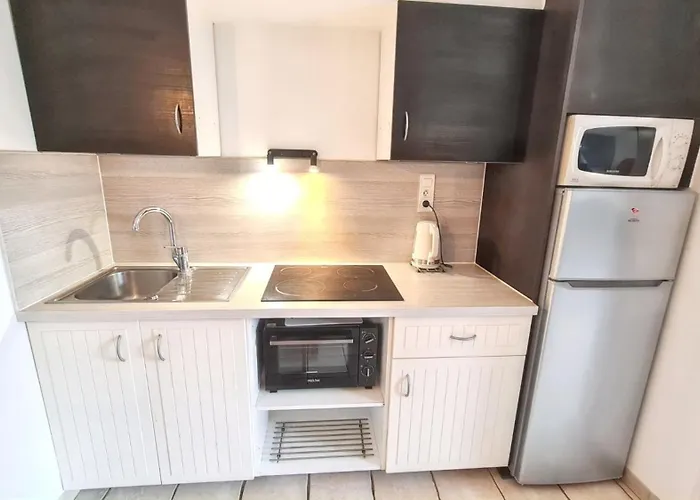 Confortable A Avec Terrasse Et Jardin - 20 M² דירה הייר